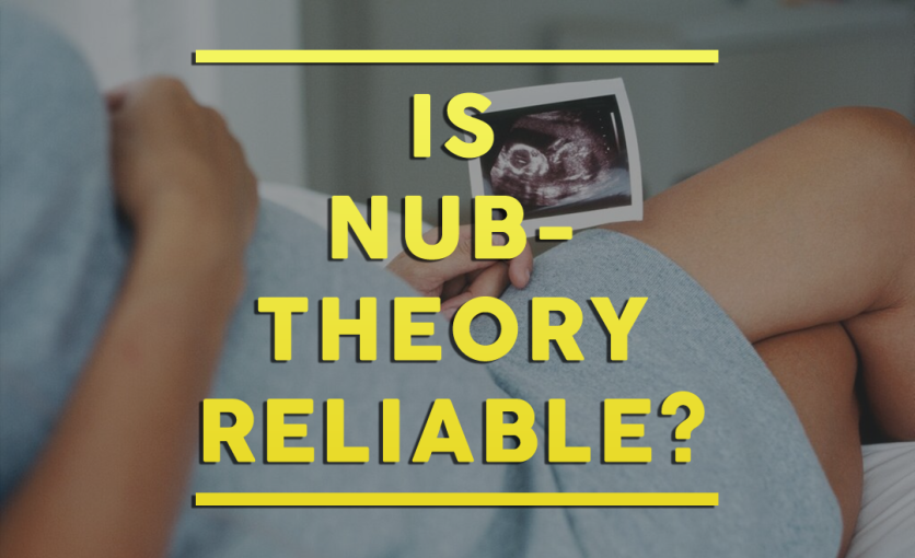 nub-theory-at-12-weeks