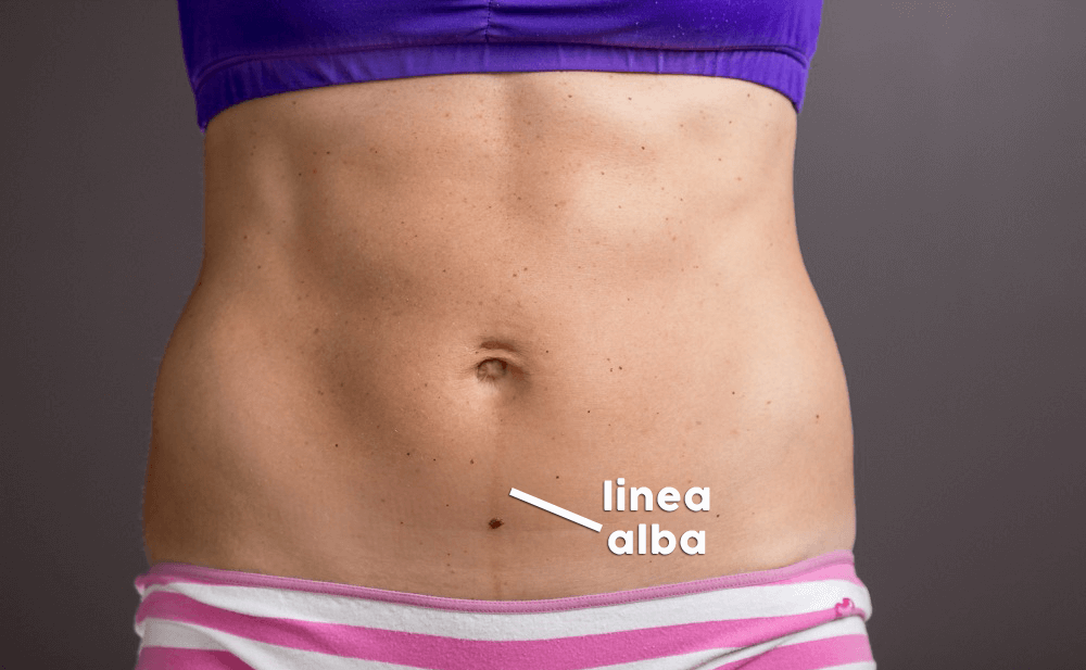 linea-nigra-not-pregnant-linsaylist.com