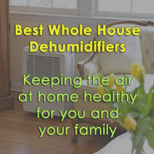 BEST-WHOLE-HOUSE-DEHUMIDIFIERS