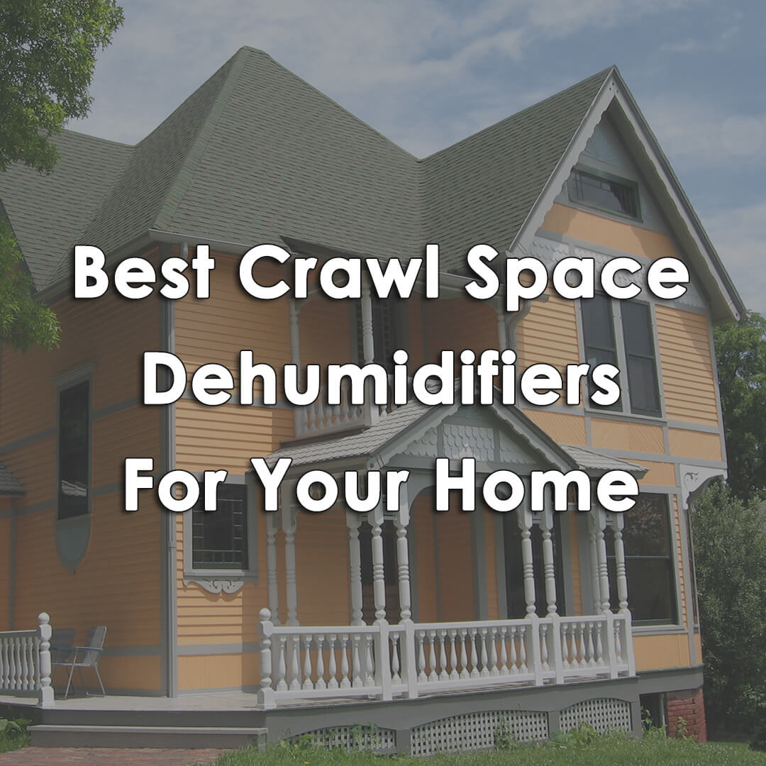 The 3 Best Crawl Space Dehumidifiers Reviews Stop Mold Mildew